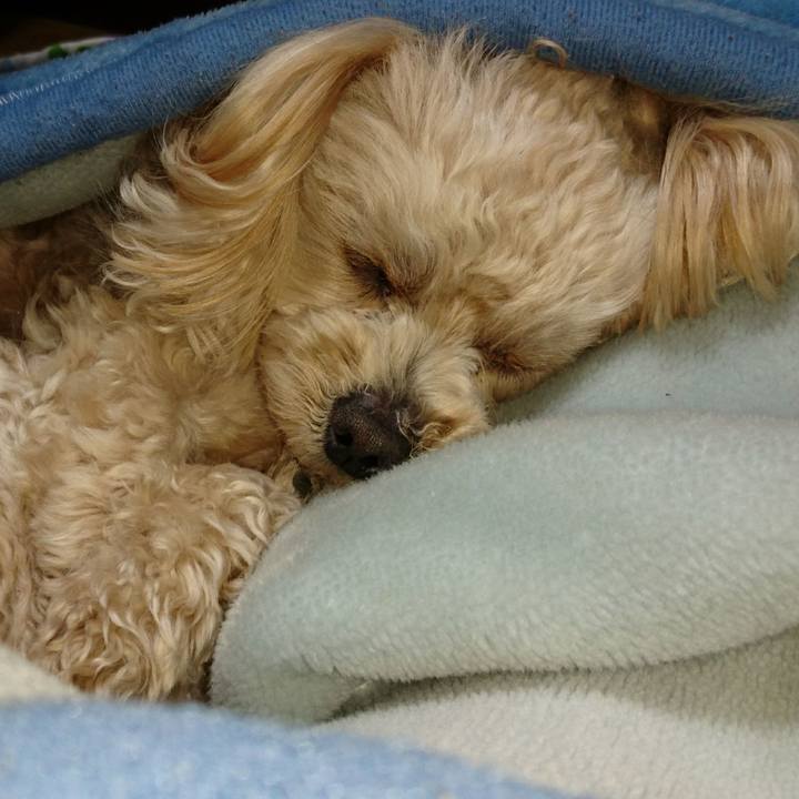 E0b9e7ac c83f 4050 81b8 8f924cde2640