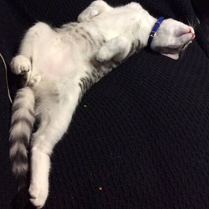 E0ba2fe1 72c7 437d a2d7 da599424d770