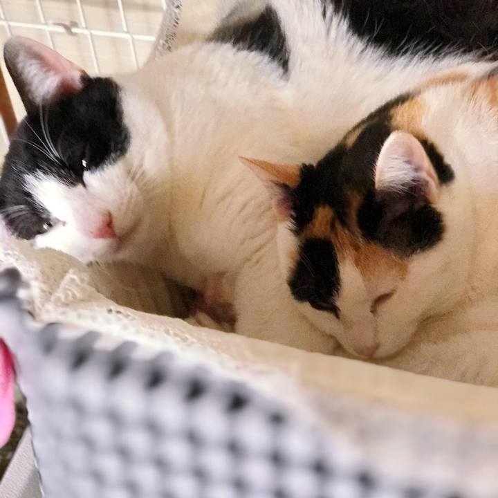 E0ba52a2 3359 4da4 85cc 9ffd61945362