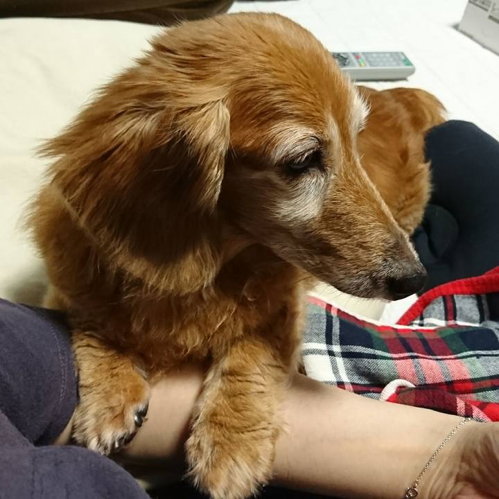 E0baab24 36ec 4d47 b56b 96301f10d286