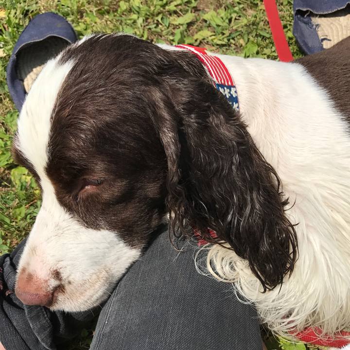 E0bae9db 7223 4d27 b95c 04ae2b2a4503