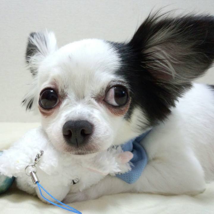 E0bb2f95 82eb 4a9f a0c1 95c2d27b974f