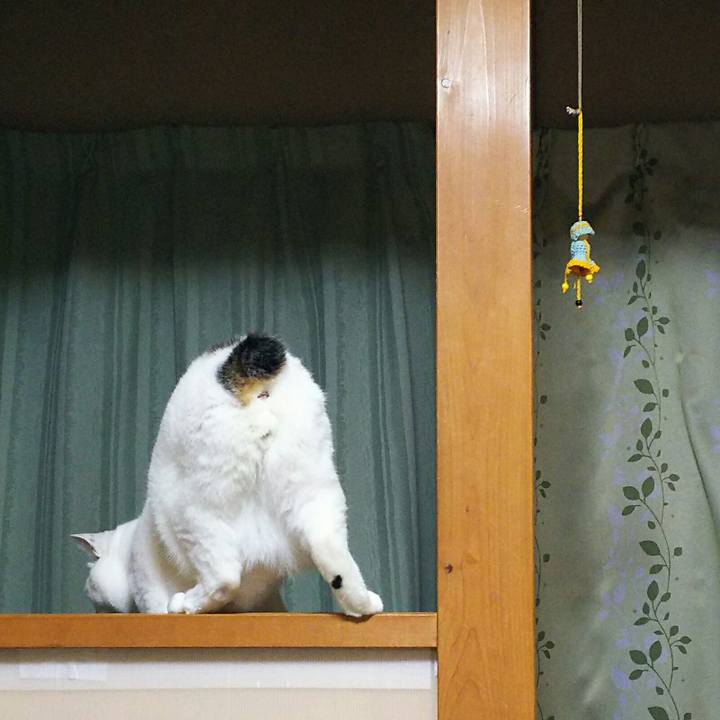 E0bb6229 f191 4ad5 934e 39f6cec9cfed