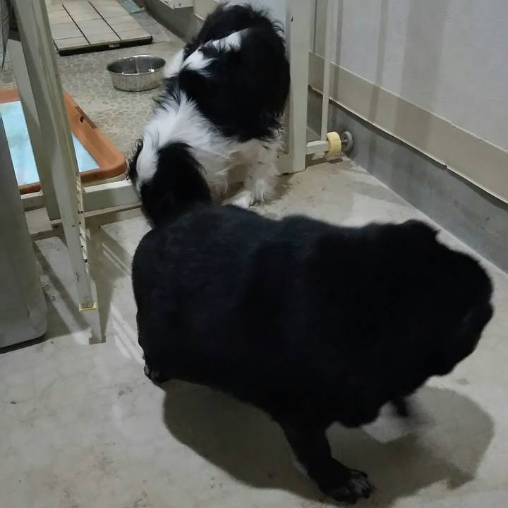 E0bb7d14 a7a3 4c9e a833 2788f022699f