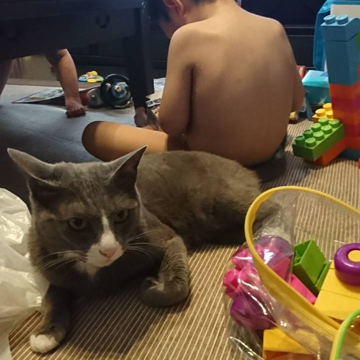 E0bbe3d6 6a50 4fae ab8e b2dcb07e3a27