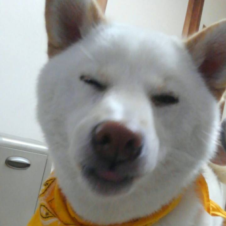 E0bbf19f 6377 42aa 87a2 c1c1653d9d7f