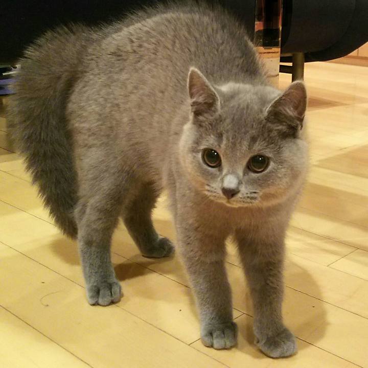 E0bc0631 8bb0 4081 b88c 643376a11d04