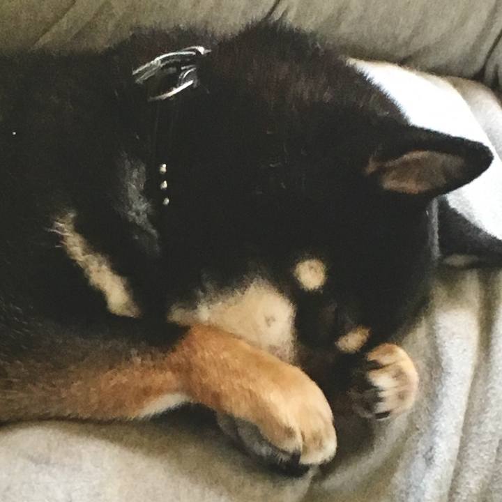 E0bc30dd c9cb 4adb a335 e046a411885a