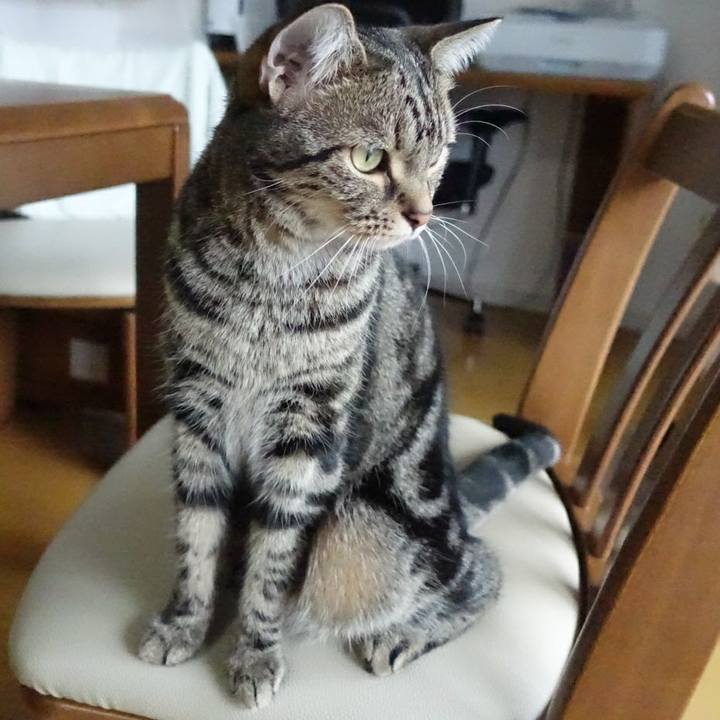 E0bd151d 1236 4023 96bd 591187012d33