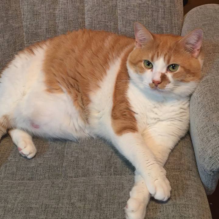 E0bd157f 9912 4b4c ad8b 3ed500ee93e9