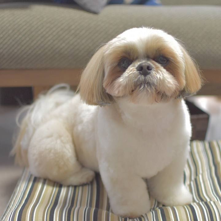 E0bd2b58 3607 49cf 8589 99311e73d3e3