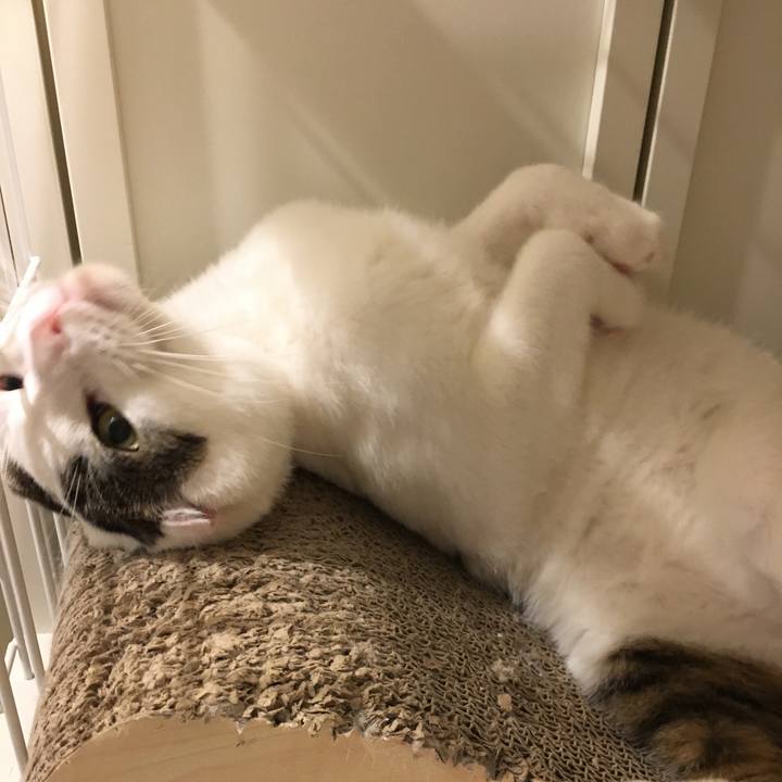 E0be8f0b d4ba 4241 9622 172f7a14ddc8