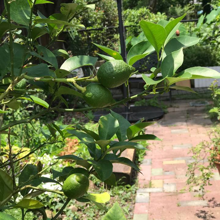 E0bea854 ed90 4626 91cf f15684560ed8