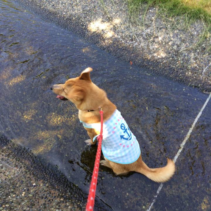 E0bf266d f294 4199 988d 5f861cb6fb0f