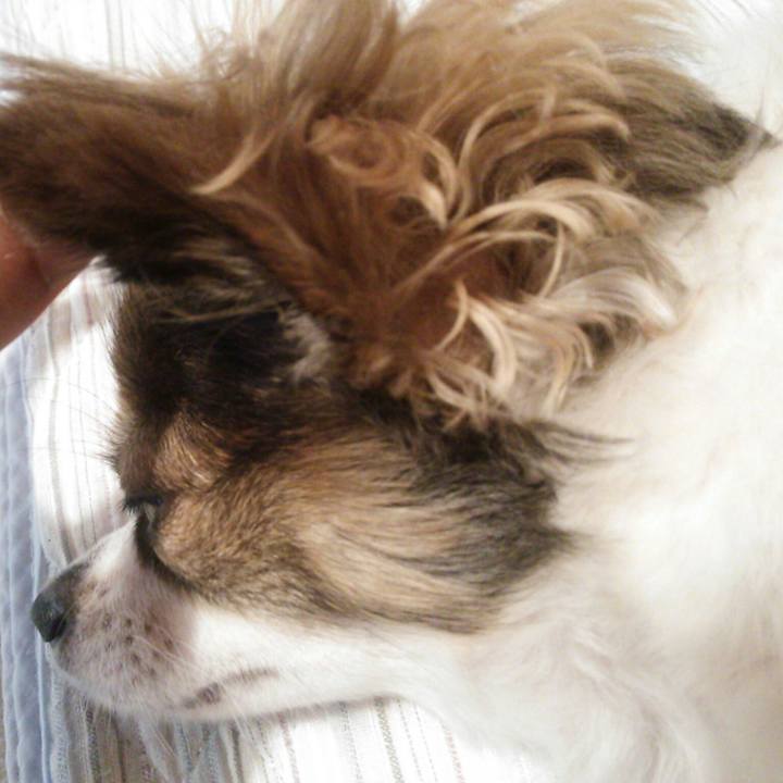 E0c05a66 d43d 4501 9184 bdb926b68933