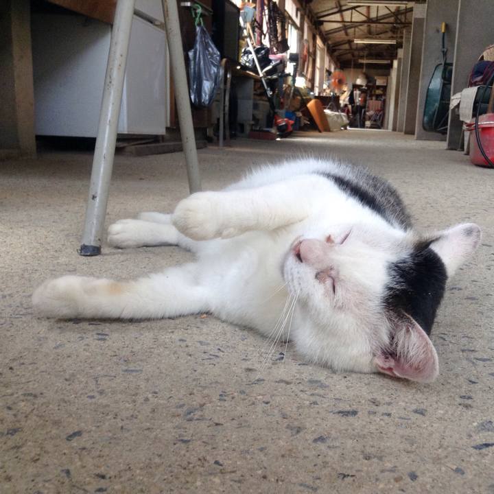 E0c0c692 9e88 4b51 8dbb b22c207a4c4c