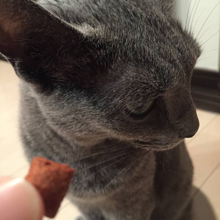 E0c0e95d c766 407e ac15 06ad8c2f4b97