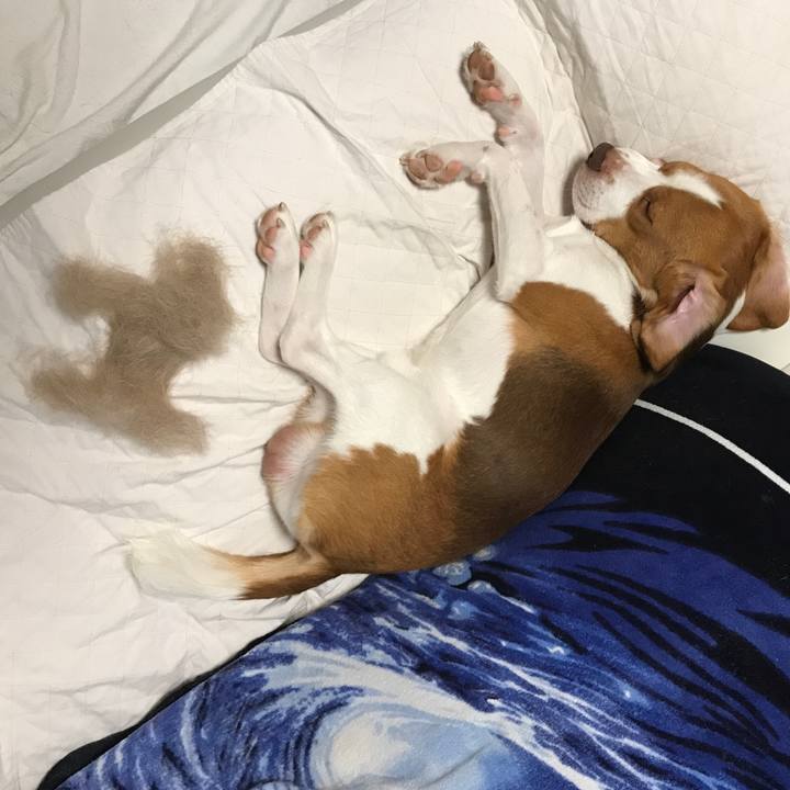 E0c11521 fcff 4de9 851b 21a8844e9f99