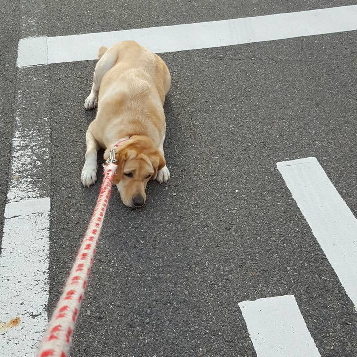 E0c129e1 86c8 4d6c a91b ab4c7d998932