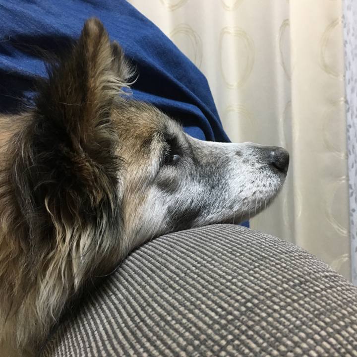 E0c1467e a1a8 4926 ada8 215db83c79ff