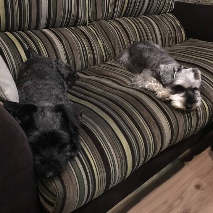 E0c164cd 3eaf 40b5 823e 333bcc982e19