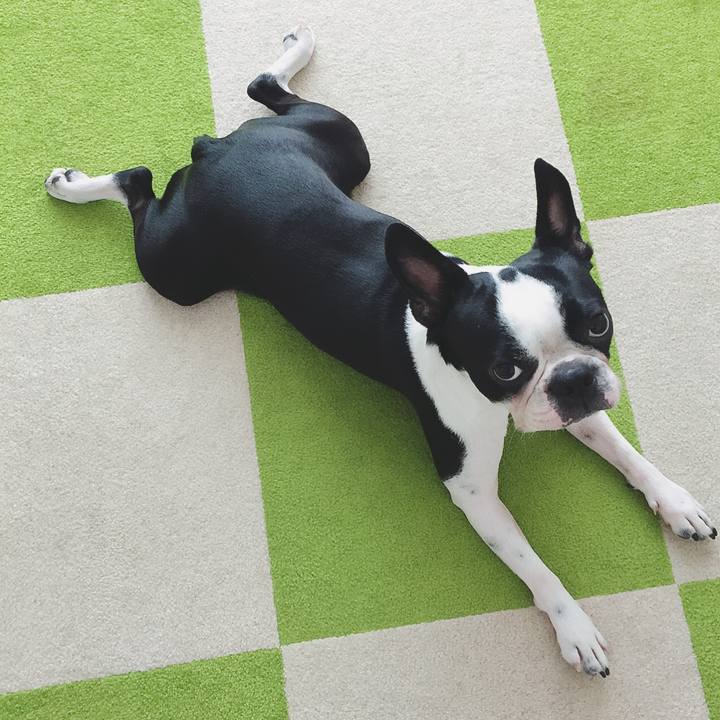 E0c175b8 5a71 4c64 9e19 e52cf0575dc7