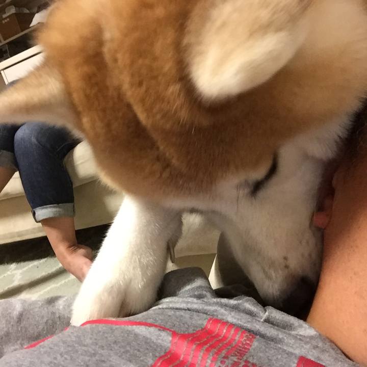 E0c17c13 8153 423a 89a9 ce984cbad1ea