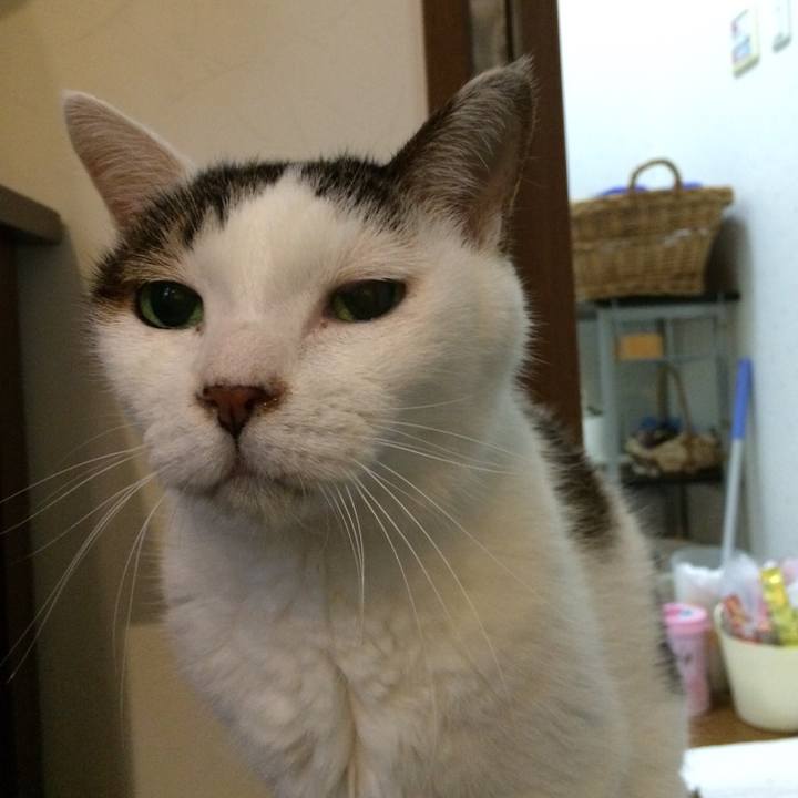 E0c17df6 ce9e 4cdf 84a2 591e6161bf60