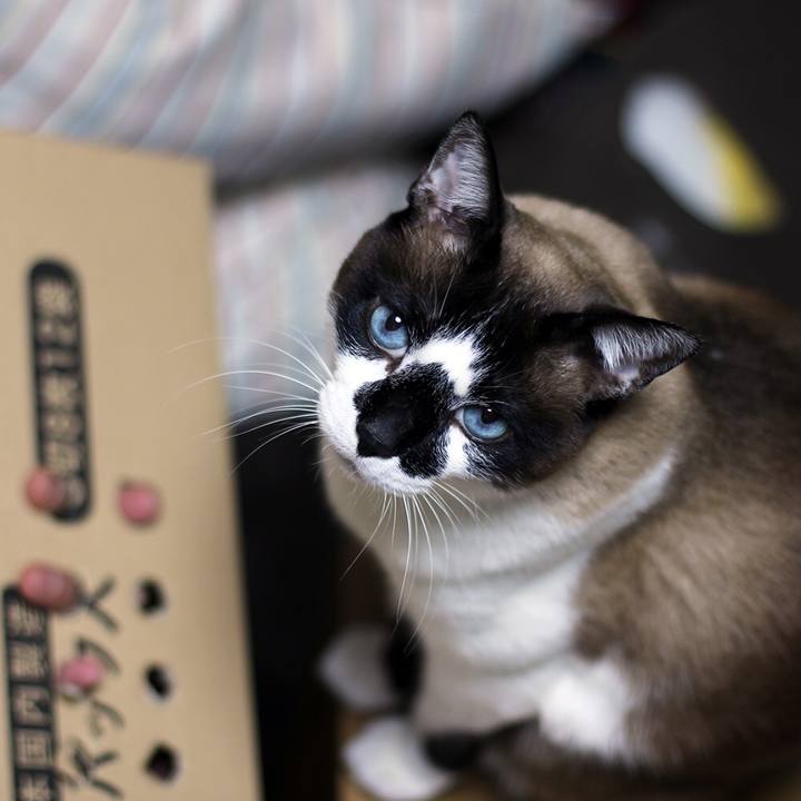 E0c1a554 4db8 4131 9edb 871cd21bdcbc