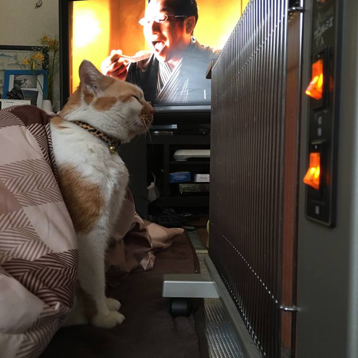 E0c21821 cb2a 4df6 8909 51a357cf3f42