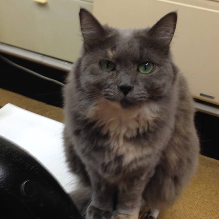 E0c235c0 7173 4f2d 9ab2 768207057311