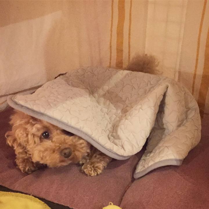 E0c25075 e587 4978 aebe 5e87dee44334