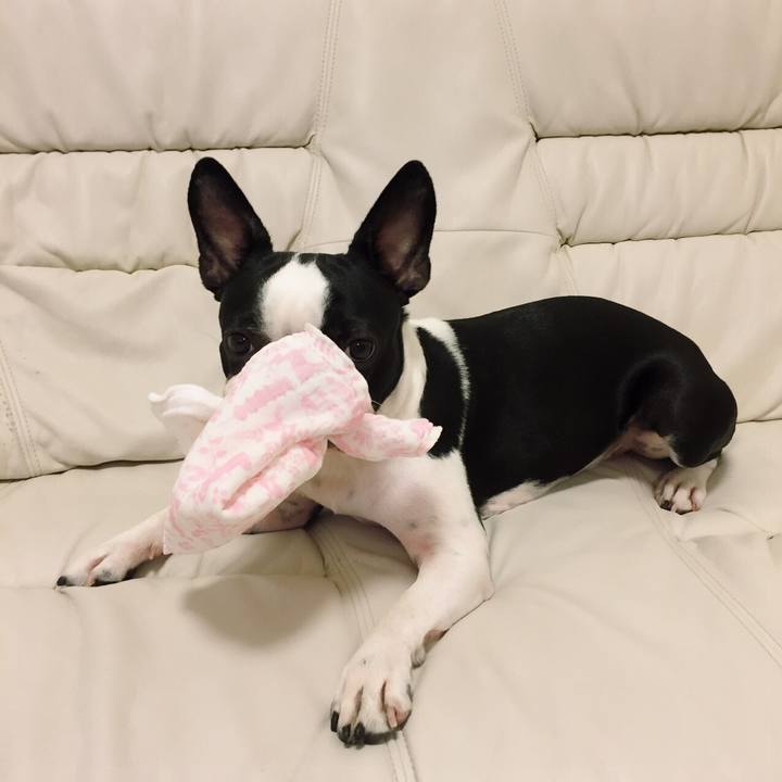 E0c2bfa2 cb21 4b29 9be1 93aba9f9b9ce