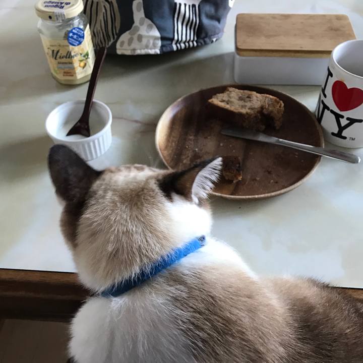 E0c32494 1052 48a3 a859 61e2b73716a7