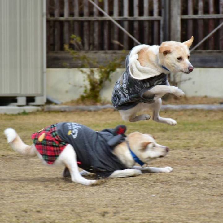 E0c358c5 967a 49d6 ab30 225cc0ee5ebd