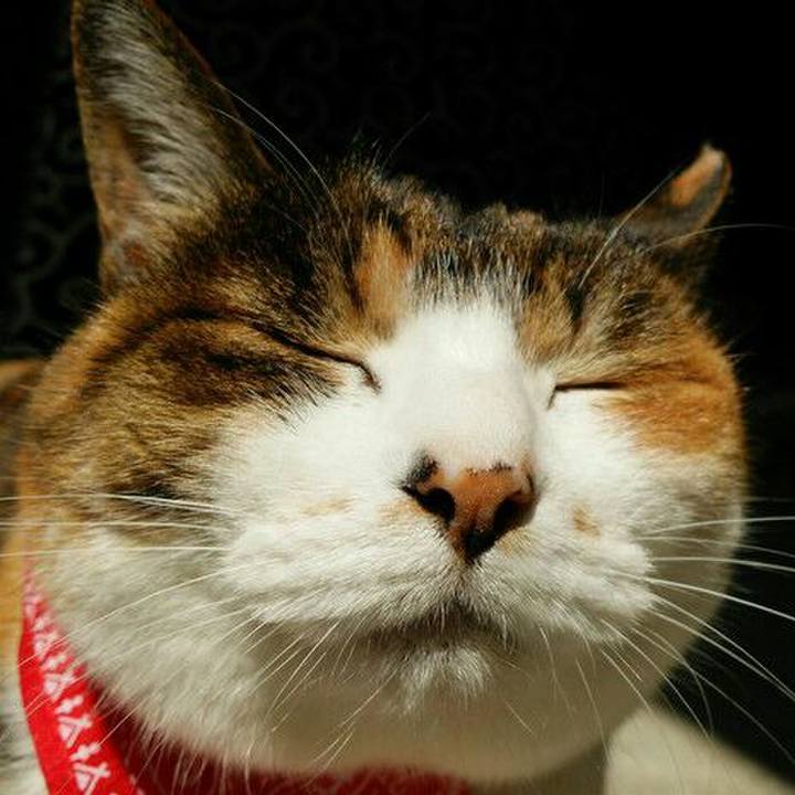 E0c4cbad 6df6 4e05 997e 547dd10df6bf