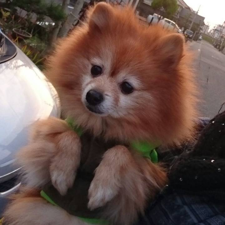 E0c50895 5e57 434a 8690 a64ade002579