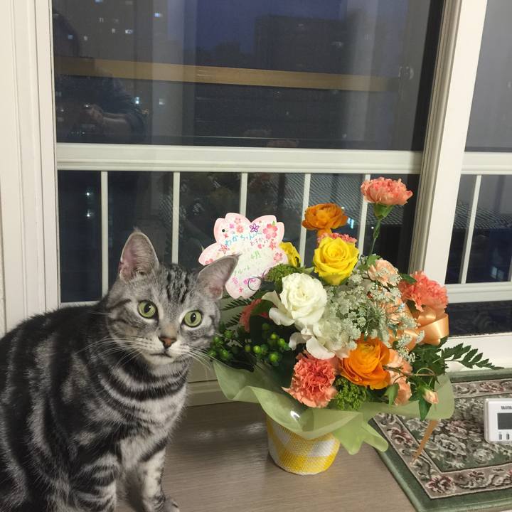 E0c5649a c24c 4442 ab59 bb008877eb37