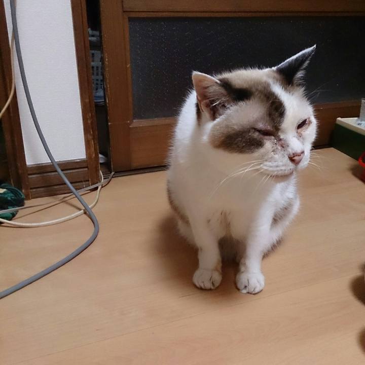 E0c61335 d145 4fae a871 3716dc65fdaa