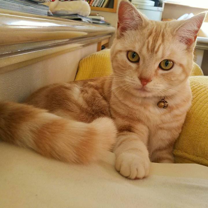 E0c614bd a4c1 4438 9a7c 44eb97e06c25