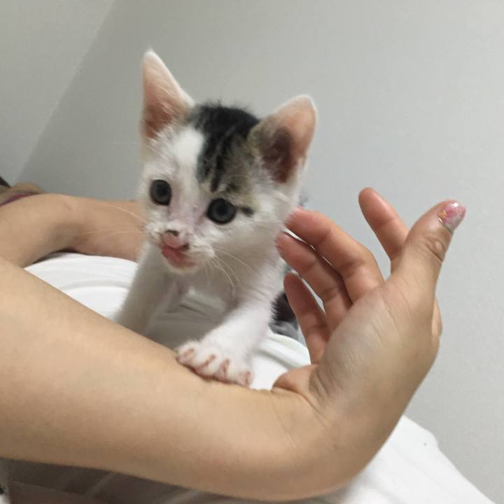 E0c68c07 3210 4991 960b 92a6ba629bdd