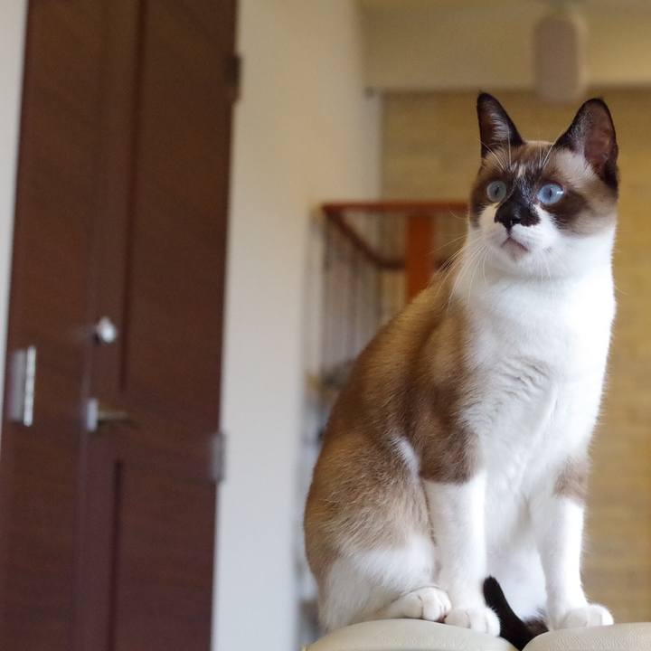 E0c72c3a 228d 4edf 8219 362132fb8d1d