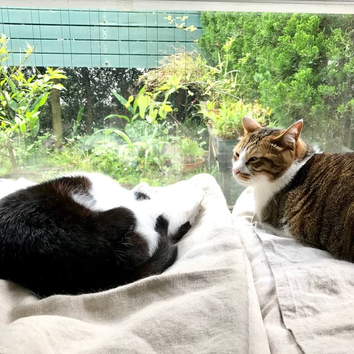 E0c7d4f3 51d4 4cac b5a5 715bdc1959d4