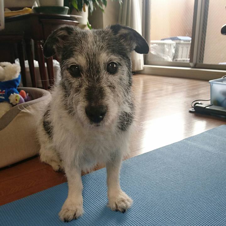 E0c8c780 730d 435a 917f 7700291b562c