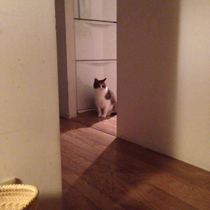 E0c8f956 9de3 429a a69c ce5844335a1b