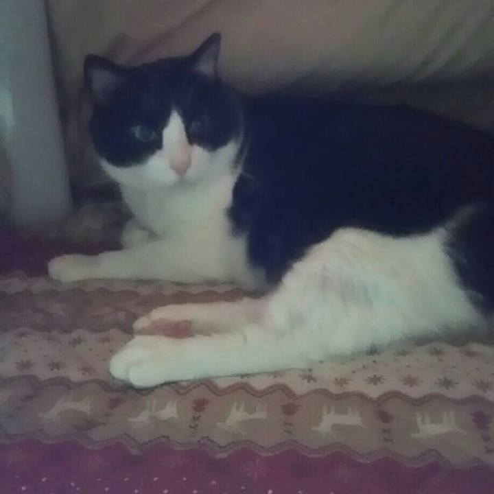 E0c9ac84 d1f0 47f9 a797 a73b51c5d330