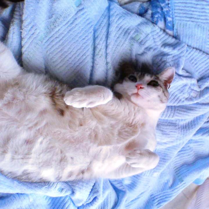 E0ca441a 34ef 46b2 80ef 2745d2d7247b