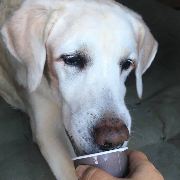 E0ca46bb 5fad 43af 8c11 a01448bc8e9c