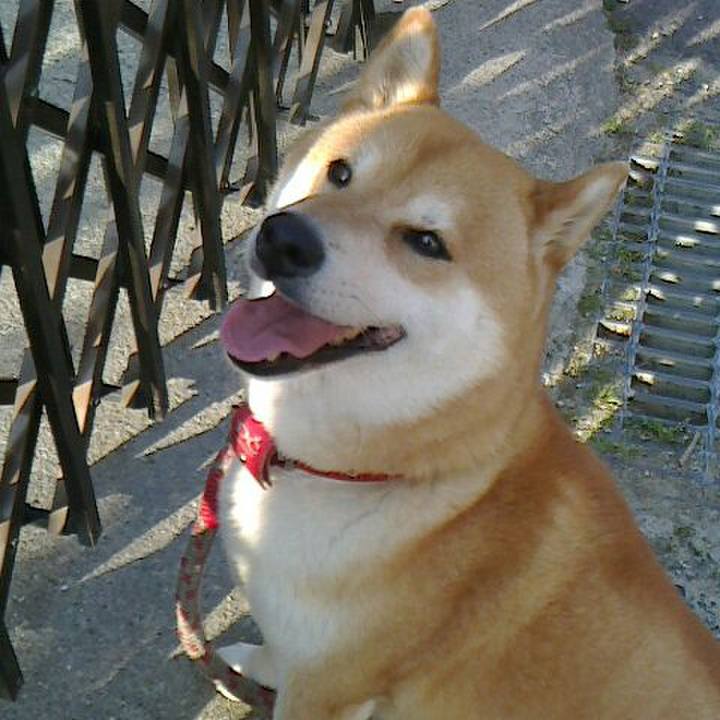 E0ca8309 bf77 4ffa a04f ba91c827d9a6