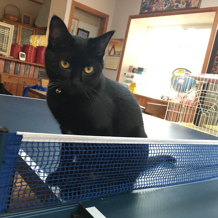 E0ca9719 ae37 4653 bf0a c0c2b451cf43